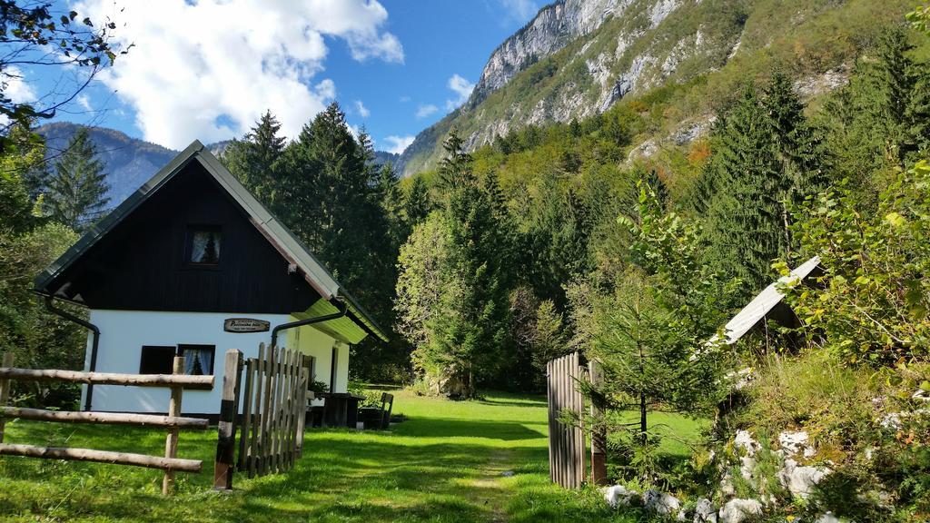 Pocitniska Hisa Ukanc Бохинь Экстерьер фото